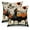 Pumpkin Bat Cat, variant on DaShan Halloween Pillow Cover 18x18 Set of 2,Black Cat Pumpkin Decorative Pillow Cases Couch Cushion for Bedroom Home Decor