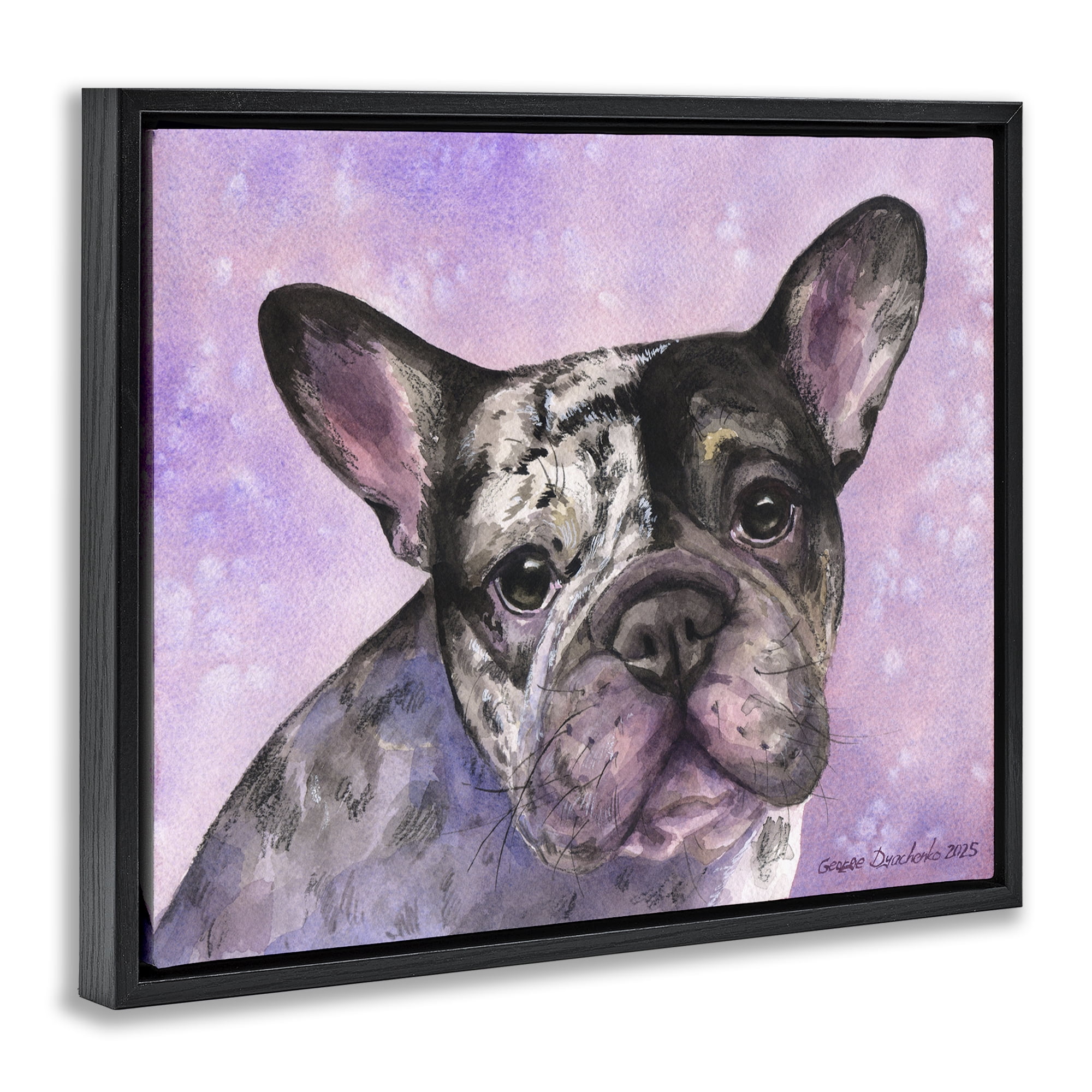 Stupell Industries Harlequin French Bulldog Black Framed Floater Canvas Wall Art, design by George Dyachenko