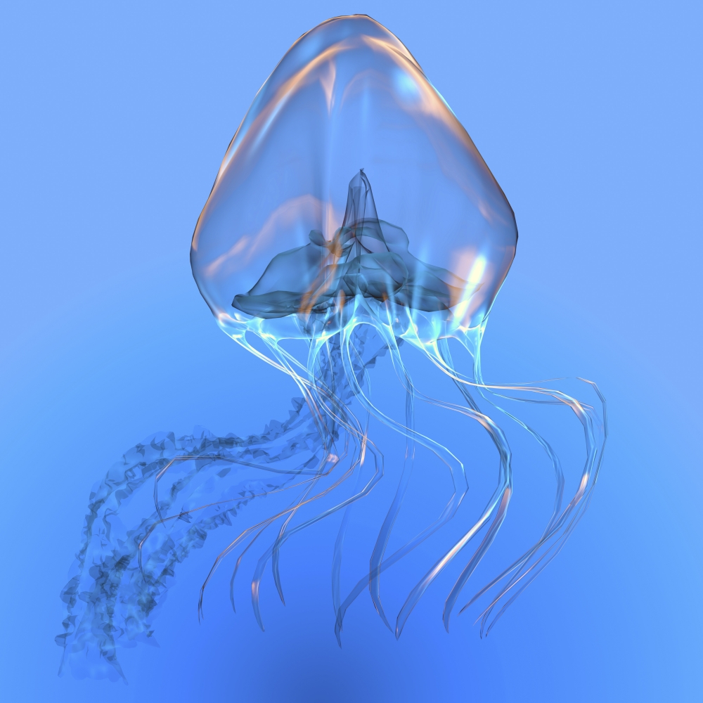 Blue jellyfish illustration. The jellyfish is a transparent gelatinous