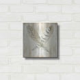 thumbnail image 3 of Luxe Metal Art 'Feathers Crossed II' by Cindy Jacobs, Metal Wall Art, 12"x12", 3 of 9