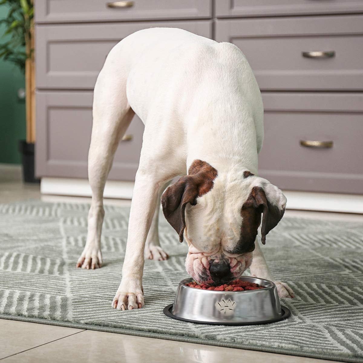 Stainless Steel Dog Bowl with Rubber Base for Food and Water, Pet Food Container, Perfect Dog Bowls Choice for Small/Medium/Large Dogs or Cats (2 Pack,18 cm)