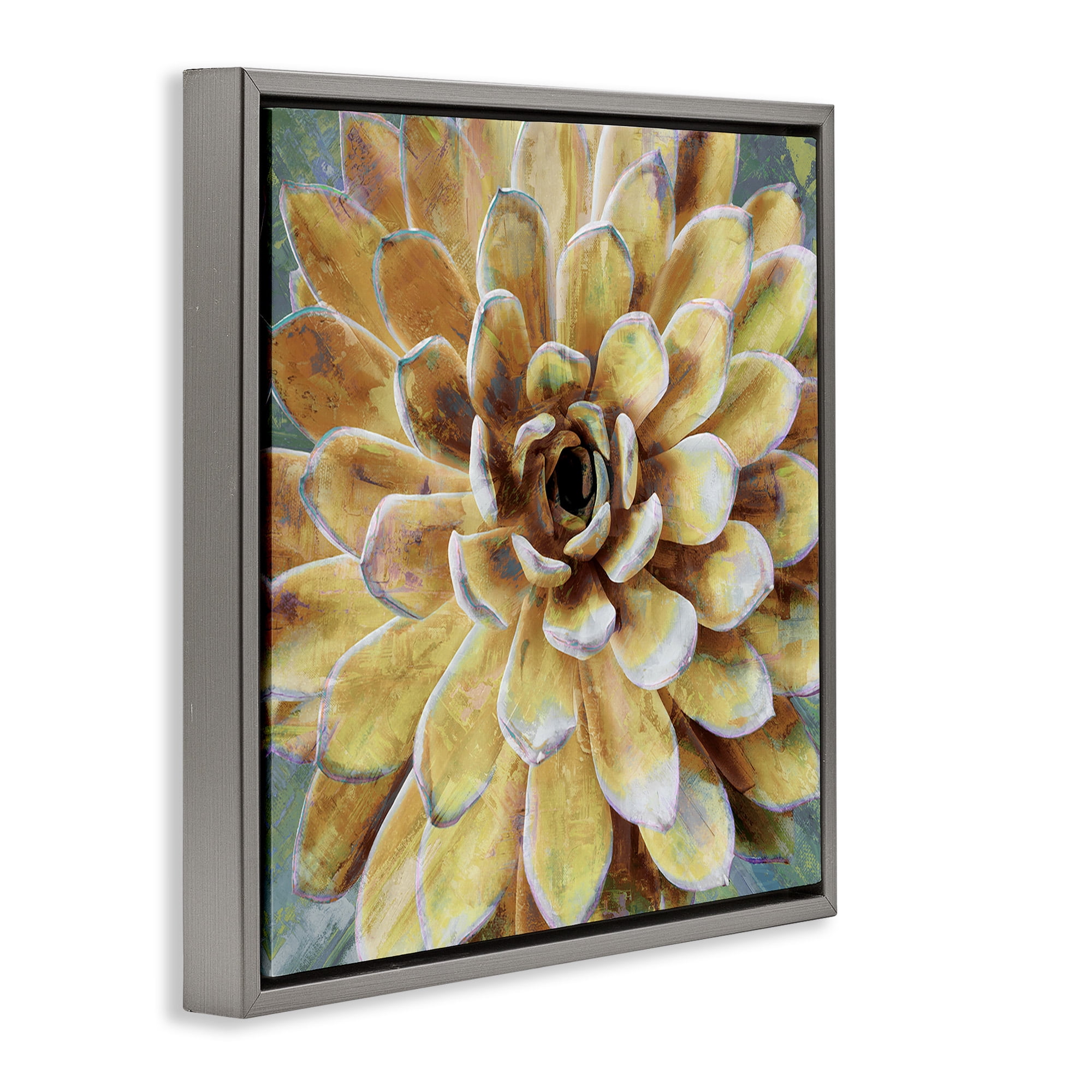 Stupell Industries Yellow Botanical Succulent Bloom Painting Botanical & Floral Painting Gray Floater Framed Canvas Art Print Wall Art, 18 x 18