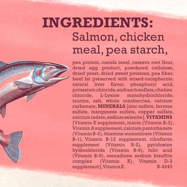 purina beyond indoor