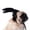 E6-A, variant on Dog Wigs Dog Wig for Small Medium Large Dogs Adjustable Elastic Band Trimmable Curly Braids Styling Cute Funny Pet Costume Headgear for Halloween Christmas Parties,D