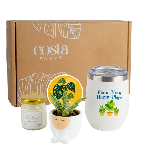 Costa Farms Gift Box Includes 2" Tall Succulent in Decor Planter, Scented Candle and Tumbler