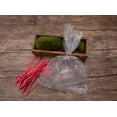 thumbnail image 3 of Clear Flat OPP Cello Cellophane Treat Bags With Red Twist Ties For Wedding Gift Candy Cookie Bakery Bread Dessert, 3 of 4