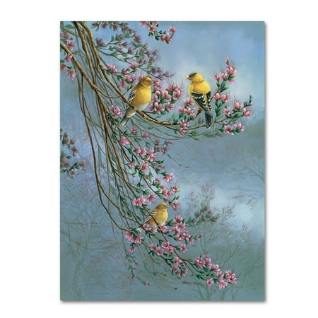 Trademark Fine Art 'Gold Finches' Canvas Art by Wanda Mumm
