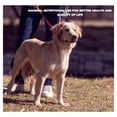 thumbnail image 2 of Croquetas para Perro Nupec Senior Razas Grandes 15 Kg, 2 of 8