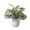 #3, variant on Windfall Artificial Potted Plants Mini Fake Plants Fresh Artificial Foliage Plant Pot Bonsai Party Mall Home Desktop Office Decor for Home Decor Indoor Office Desk Wedding Decoration