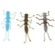 thumbnail image 5 of Señuelos de pesca Stonefly 20s multicolor Sunnimix 20 piezas, 5 of 8