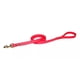 thumbnail image 1 of Correa De Biothane Para Perro 180cmx19mm Jaru, 1 of 2
