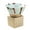 Green, variant on NANMELX Ceramic Coffee Mugs Triangular Cone Shape Latte Ceramic Tea-Cup for Kitchen Bar