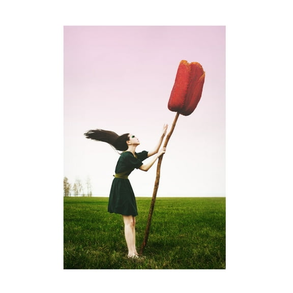 Canvas Wall Art - Mila Korolyova 'Open Sky' Wall Art for Living Room, Bedroom, or Office D?cor by Trademark Fine Art - 12 x 19 Inches