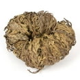 thumbnail image 2 of Incense Garden Rose of Jericho Flower The Resurrection Plant, 2 of 5