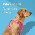 thumbnail image 4 of Vibrant Life Reflective Mesh Adjustable Dog Harness, Pink, L, 4 of 10