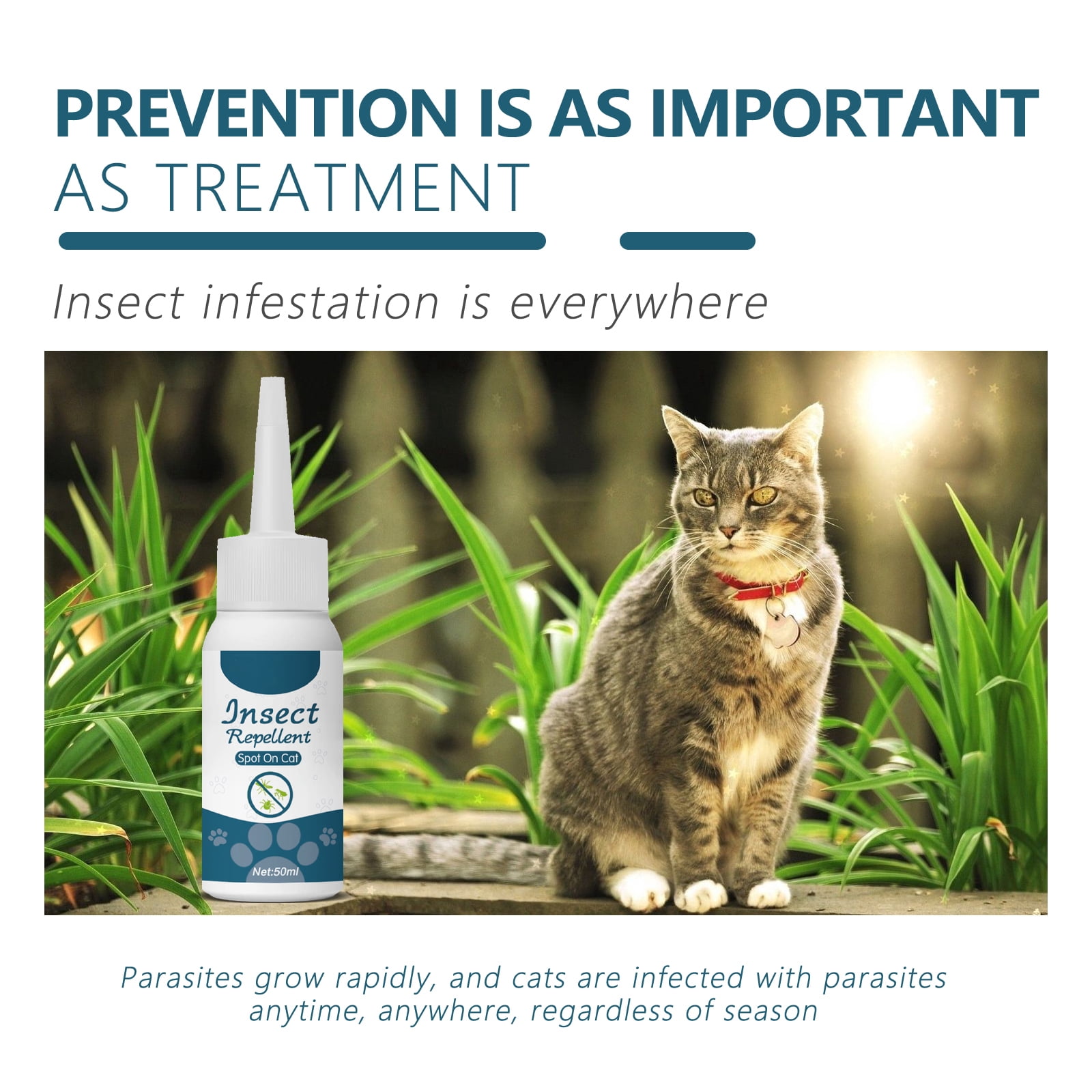 Alvantor Insect Repellent Spot On Cat Flea and Tick Prevention Treatment - Natural Essential Oil Repellent, 1.69fl.oz