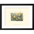 thumbnail image 2 of Chickadees and Pussy Willow Framed Print Wall Art by Janet Mandel Sold by Art.Com, 2 of 5