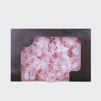 BNNG Dried Rose Petals Natural Preserved Flowers - Valentine's Day Wedding Aisle Decor, DIY Craft Scatter for Romantic Proposal Bath Tub Table Centerpiece