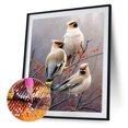 thumbnail image 3 of Cuadros Decorativos Kit de pintura de diamante 5D imagen de mosaico de taladro redondo completo de gorrión DIY (E1137) JShteea Nuevos Originales, 3 of 9