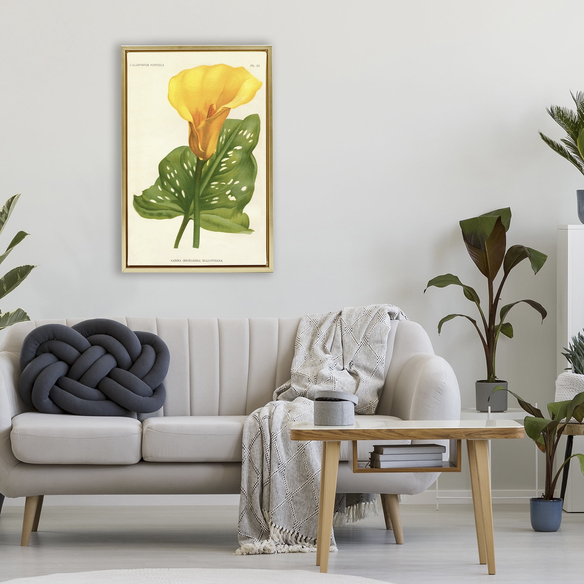Stupell Industries Yellow Canna Lily Gold Framed Floater Canvas Wall Art, design by Print Collection