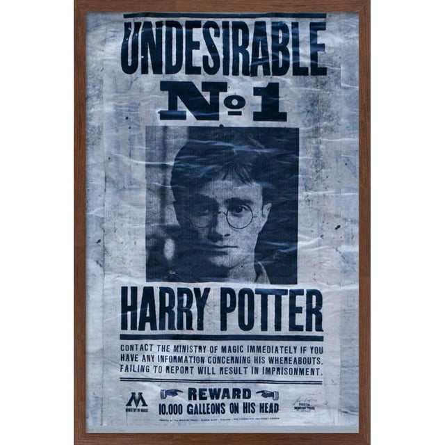 The Wizarding World: Harry Potter - Undesirable Wall Poster, 22.375" x 34"