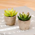 thumbnail image 3 of Small Artificial Succulent Plants Mini For Shelf Kitchen Counter Office Decor Tiny Miniature Desk Plant Succulents Decoration Accessories Potted Plastic Pot Bonsai Ornament Garden Decor, 3 of 8
