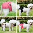 thumbnail image 4 of Litake 3pcs Pet Dog Physiological Pants Anti-harassment Highly Absorbent Sanitary Panties Nappies For Female Dogs, 4 of 9
