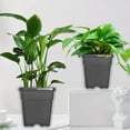 thumbnail image 5 of SEBLAFF 5 PCS Re-usable Square Nursery Pot 10 Gallon Plastic Grow Pots Plant Black, 5 of 8
