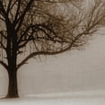 thumbnail image 3 of Masterpiece Art Gallery Winter Sun Sepia Tree By Ilona Wellmann Canvas Art Print 24" x 36", 3 of 4