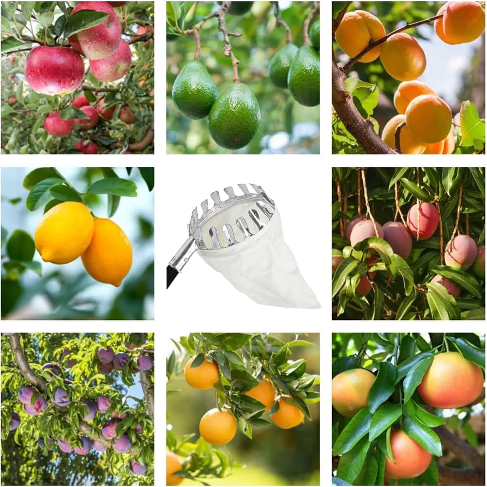 Fruit Picker, Dingrich 2.8 m Apple Picker with Telescopic Handle, Extendable Reach Metal Picker with Cotton Bag, Food Picking Equipment with Non-Slip Grip Handle for Garden Tool