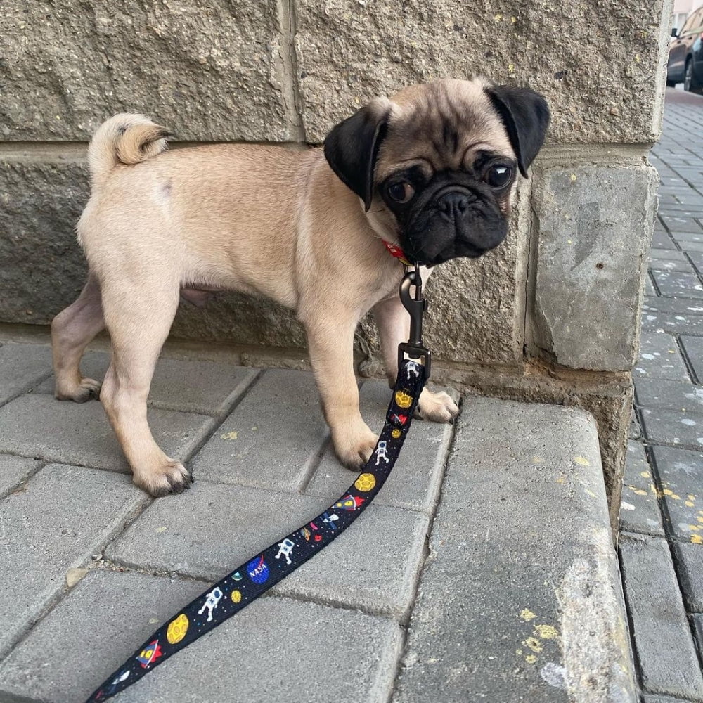 WAUDOG Nylon Leash with Unique Design | Strong & Special Design Leash for Cute Small, Medium Large Dog | Heavy Duty Dog Leashes for Large Breed Dog & Puppy Leash for Small Boy & Girl Dogs - Red Plaid