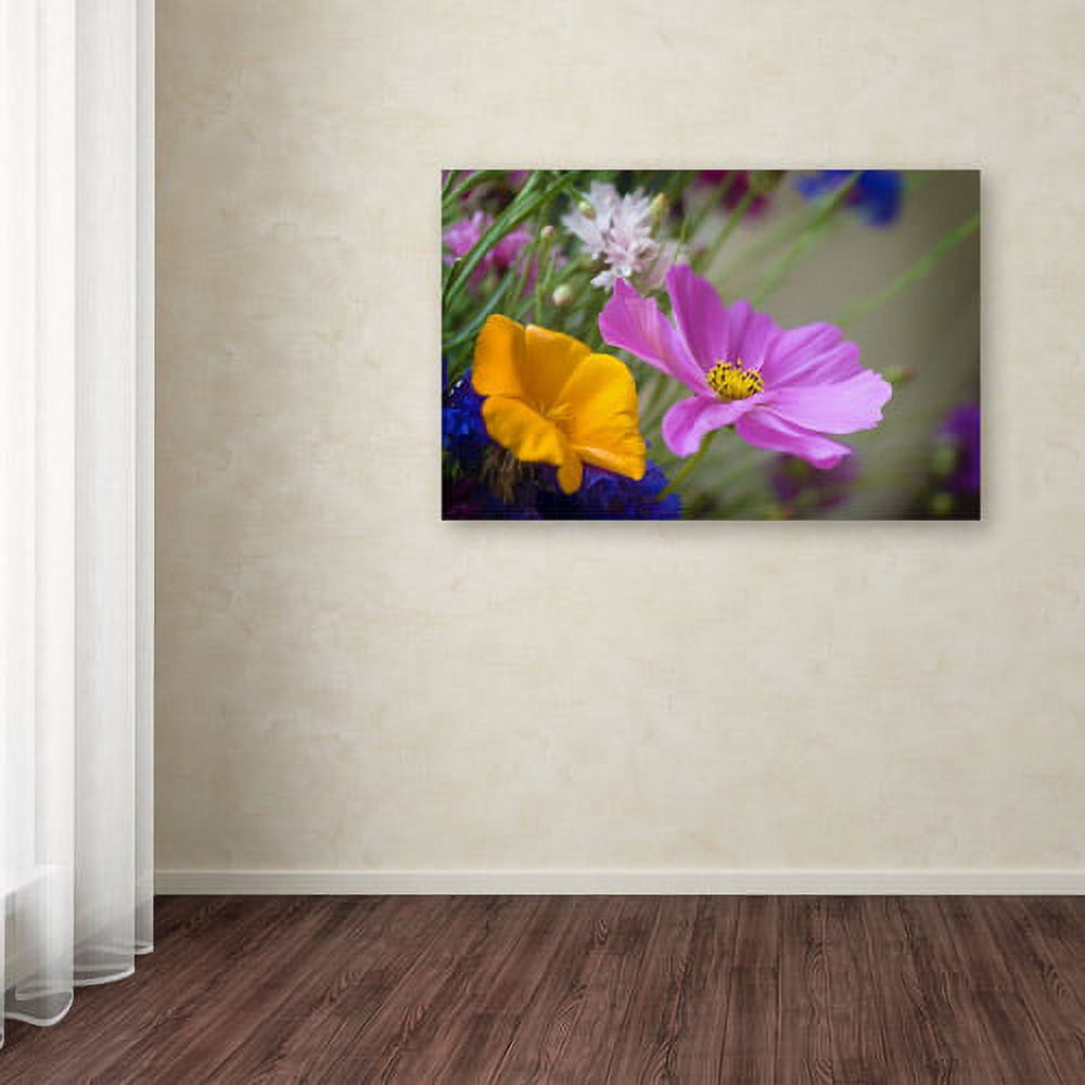 Trademark Fine Art "Cosmos of the Fields" Canvas Art by Philippe Sainte-Laudy