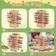 thumbnail image 3 of Juego de mesa de madera Montessori Japace con 42 palos y dados, 3 of 6