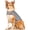 Gray, variant on Breathable Calming Comfort Dog Anxiety Relief Vest Jacket for Thunder Fireworks Travel Separation Stress Relief