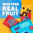 thumbnail image 4 of Ocean Spray® Blueberry Cran™ Snack Medley, Dried Fruit Snack, 1 oz Pouches, 5 Count, 4 of 14