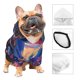 thumbnail image 3 of Fotbe Taxi Colorful Town Sudadera con Estampado para Perros Pequeños – Suéter con Capucha para Mascotas, Tela Suave de Forro Polar con Bolsillo-Small, 3 of 7