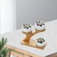 thumbnail image 4 of Succulent Plant Pot Cat Claw Shaped Herbs Pot Decor Planter Tabletop kusrkot Contenedor suculento, 4 of 8