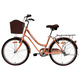 thumbnail image 1 of Bicicleta Vintage NIZA R24 Color Durazno, 1 of 4