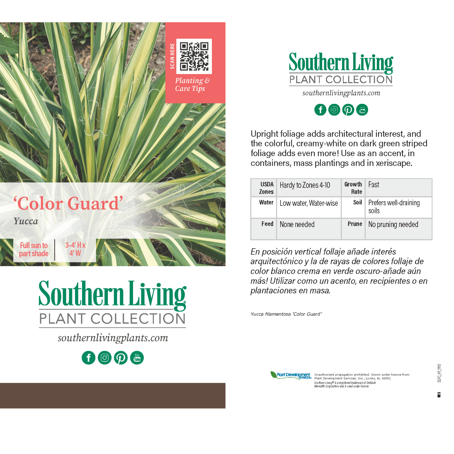 Southern Living Color Guard Yucca Live Shrub in 1.5-Gallon Grower Pot