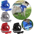 thumbnail image 3 of Deago No Pull Dog Pet Harness Reflective Adjustable No Choke Easy Control With Leash for Small Dog Cat Pet Outdoor Walking Travel (Blue, XL), 3 of 7