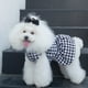 thumbnail image 4 of Vestido para perro CuteBone de terciopelo con cuello alto para perros pequeños CVD04XXS, 4 of 9