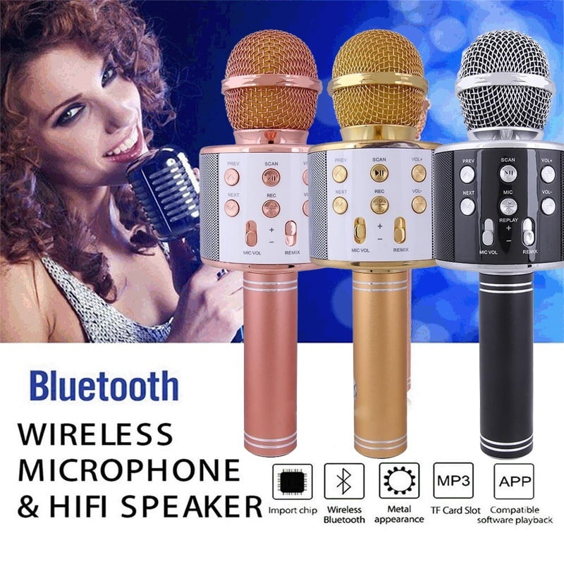 mic and speaker for singing