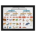 thumbnail image 1 of RAYZEL Biological Poster Animal Biological Classification Hierarchy Chart Wall Art Canvas Art Poster Wall Art Picture Print Modern Family Bedroom Decor Black Framed 16x12 Inch, 1 of 6