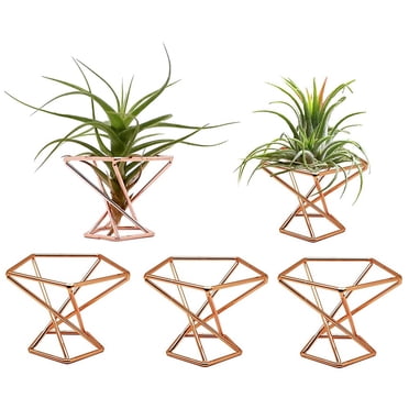 Pack 5 Air Plant Holder Air Plants Holders Tillandsias Display Air Purifying Plant Container Air Fern Stand, Gold