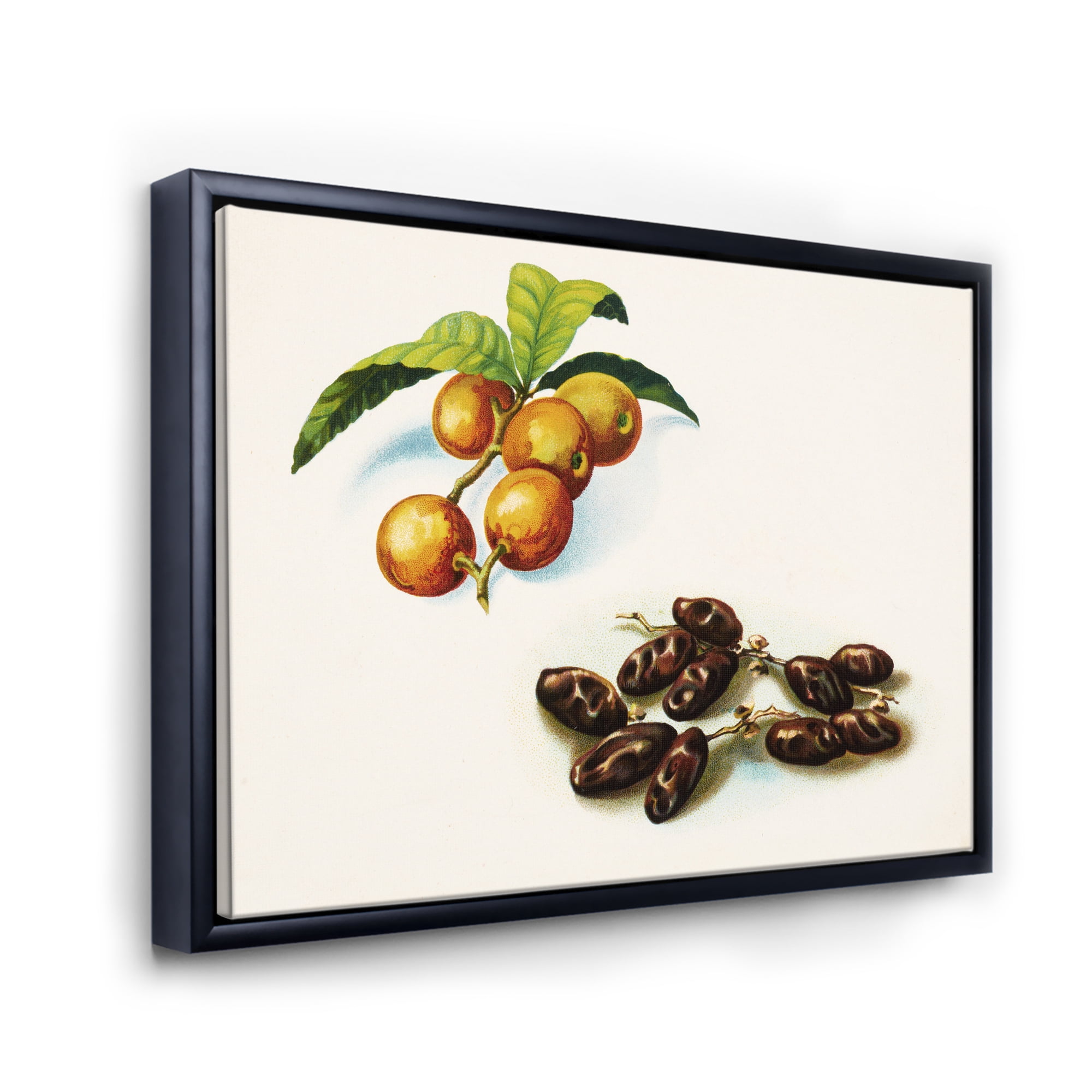 Designart 'Ancient Fruits IV' Farmhouse Framed Canvas Wall Art Print