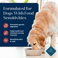 thumbnail image 5 of Blue Buffalo Basics Adult Dry Dog Food, Salmon & Potato, 11-lb. Bag, 5 of 12
