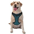 thumbnail image 1 of Blue Starry Night Dog Harness, Pet Dog Out to Prevent Break Free Leash, Adjustable, Easy to Wear, Small, 1 of 9