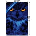 thumbnail image 3 of Owl - Eyes Wall Poster with Push Pins, 14.725" x 22.375", 3 of 3