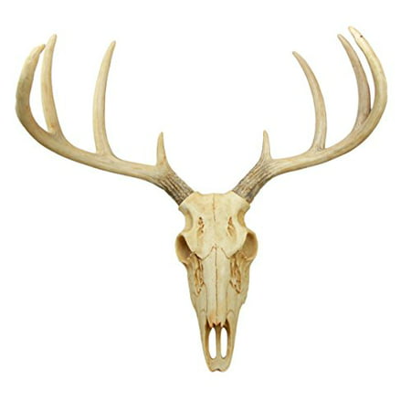 Atlantic Collectibles Rustic Hunter Deer 8 Point Buck Skull Antler Rack Wall Mounted Plaque Trophy Decor Figurine 14.25