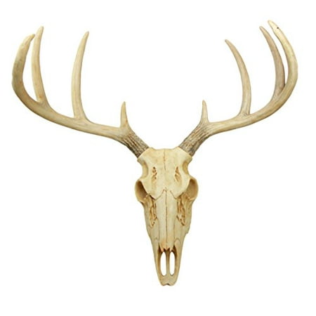 Skull Trophy (Atlantic Collectibles Rustic Hunter Deer 8 Point Buck Skull Antler Rack Wall Mounted Plaque Trophy Decor Figurine 14.25
